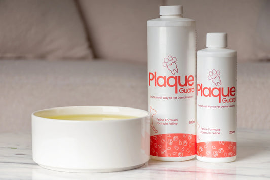 Two Plaque Guard feline dental water additive bottles beside a white pet water bowl on marble surface