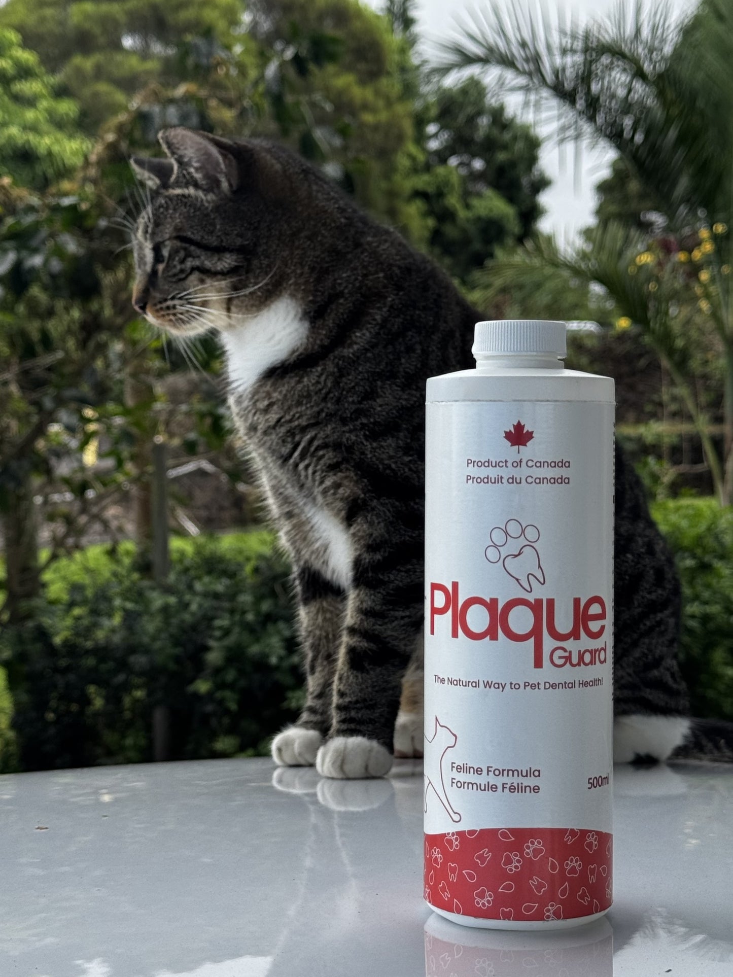 2 Pack Save 10% Plaque Guard for Cats 8.5 OZ / 250 ml