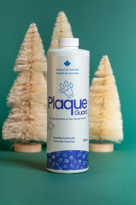 Save 10% 2 Pack Plaque Guard for Dogs | Oral Health Water Additive 17 oz