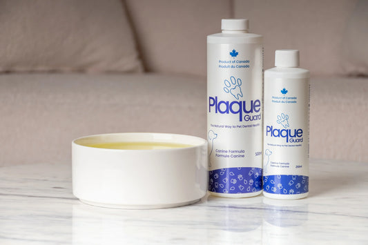 Golden puppy licking Plaque Guard dental water additive bottle with decorative trees behind