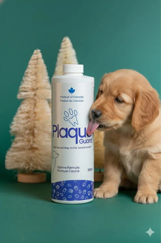 Golden puppy licking Plaque Guard dental water additive bottle, decorative trees behind
