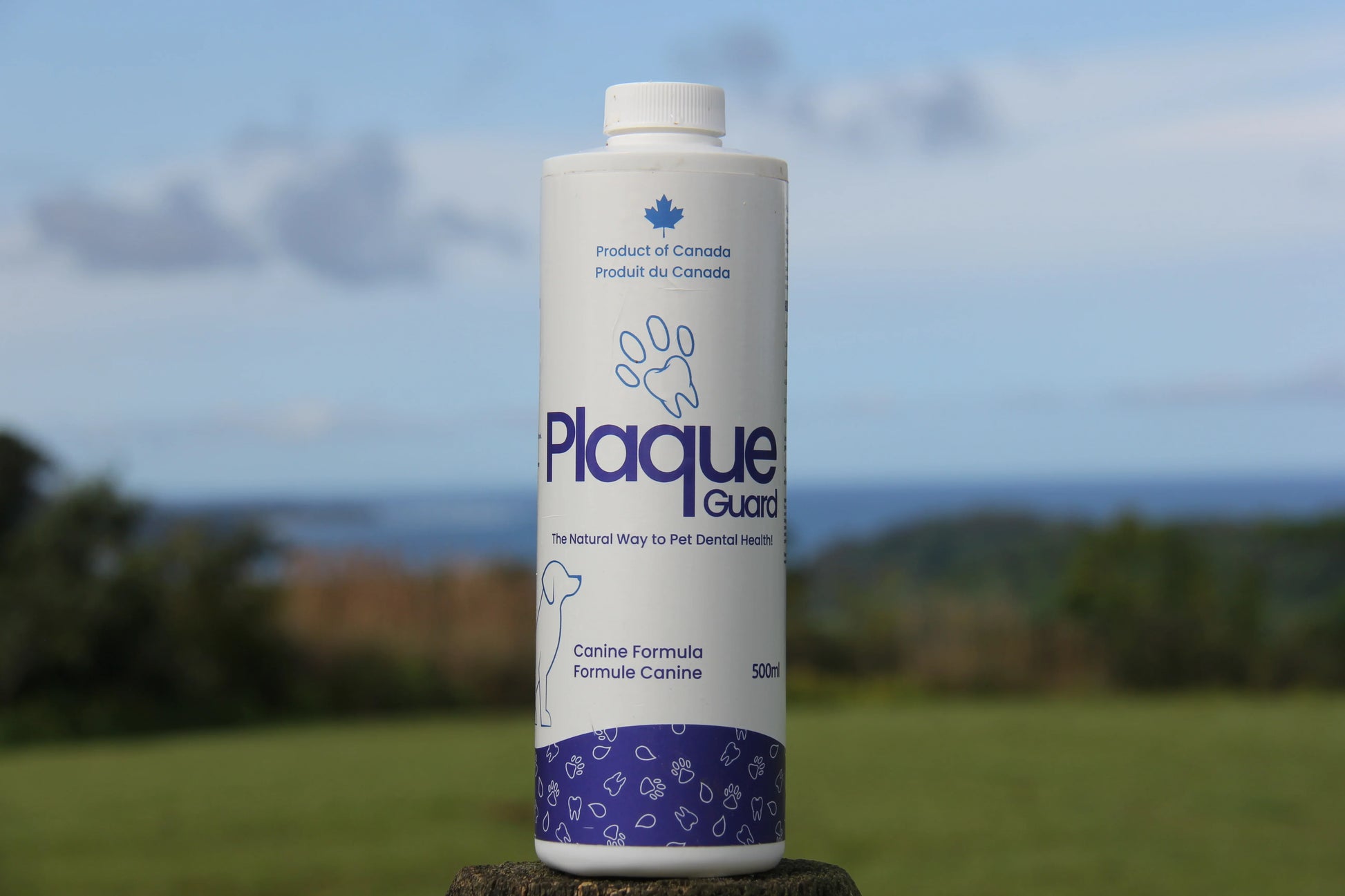 Golden puppy licking dental water additive bottle with decorative trees in background