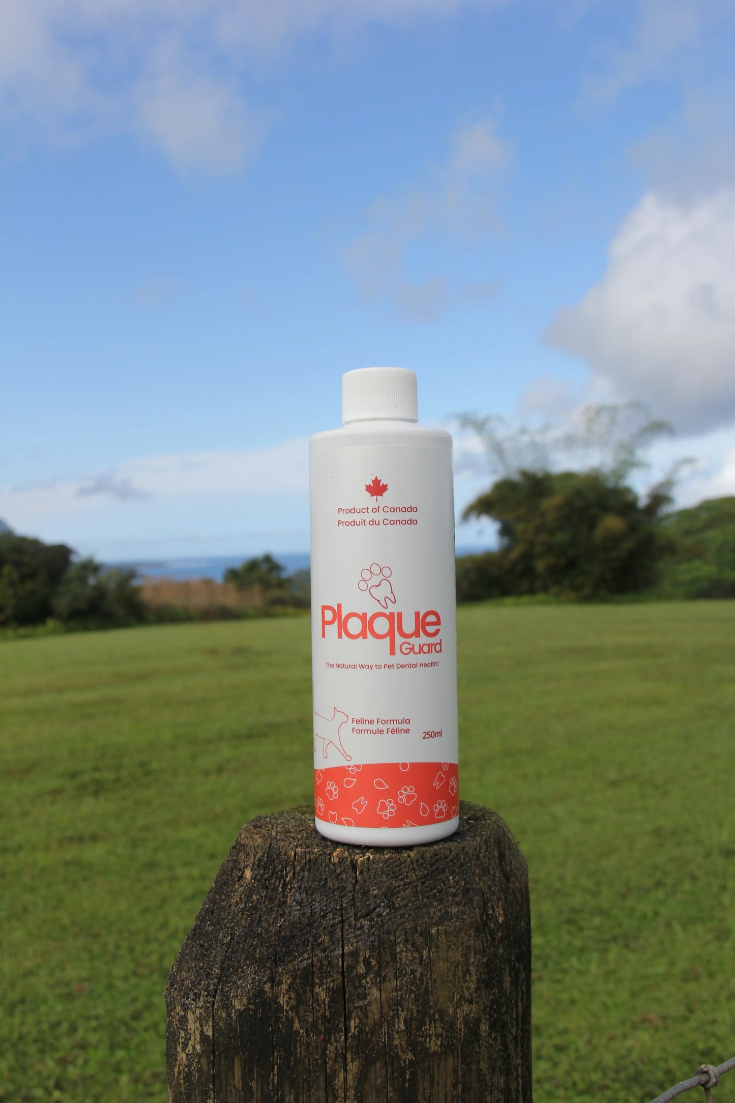Plaque Guard dental water additive bottle outdoors on wooden post with trees in background