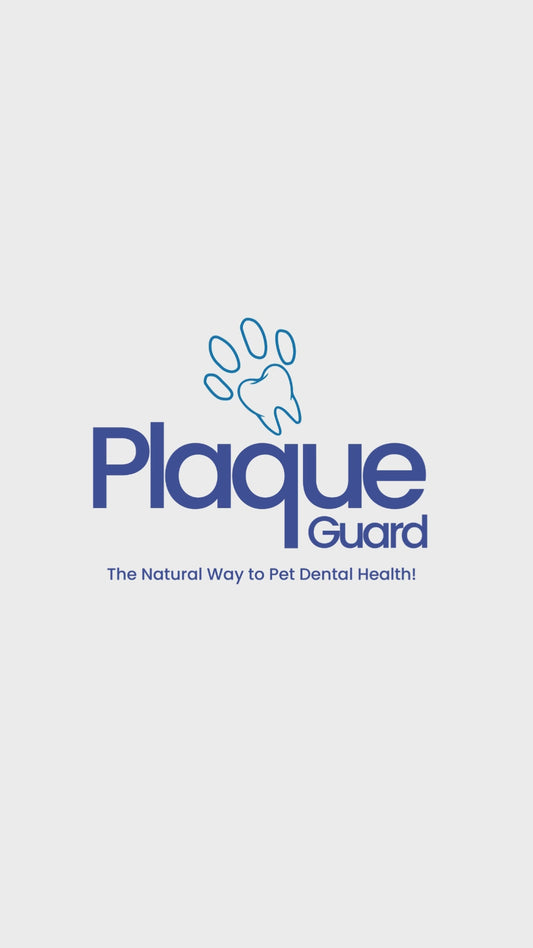 Plaque Guard for Dogs | Oral Health Water Additive 16.91 oz / 500  ml