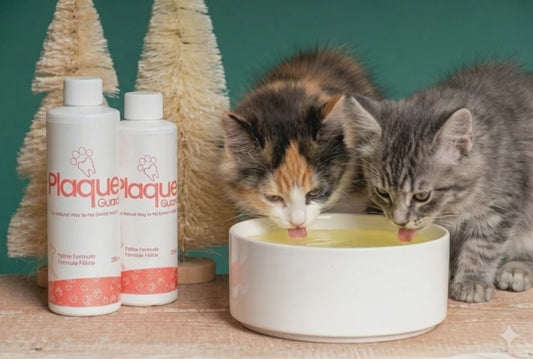 Plaque Guard for Cats 8.45 OZ / 250 ml