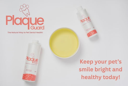 Natural cat dental water additive

Holistic cat supplements

Organic chlorella for cats

Cat bad breath remedy

Liquid vitamins for cats

Cat immune system booster